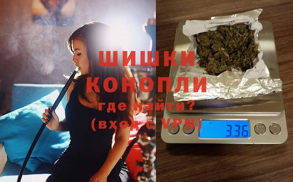крисы Баксан