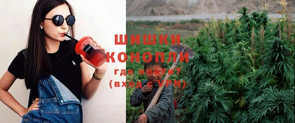 крисы Баксан