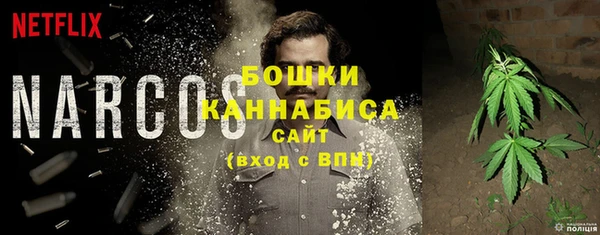 крисы Баксан