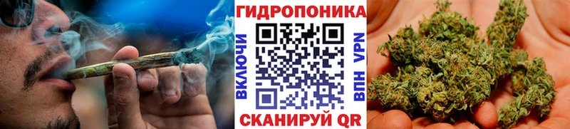 МАРИХУАНА White Widow  shop официальный сайт  Северобайкальск  цены наркотик 